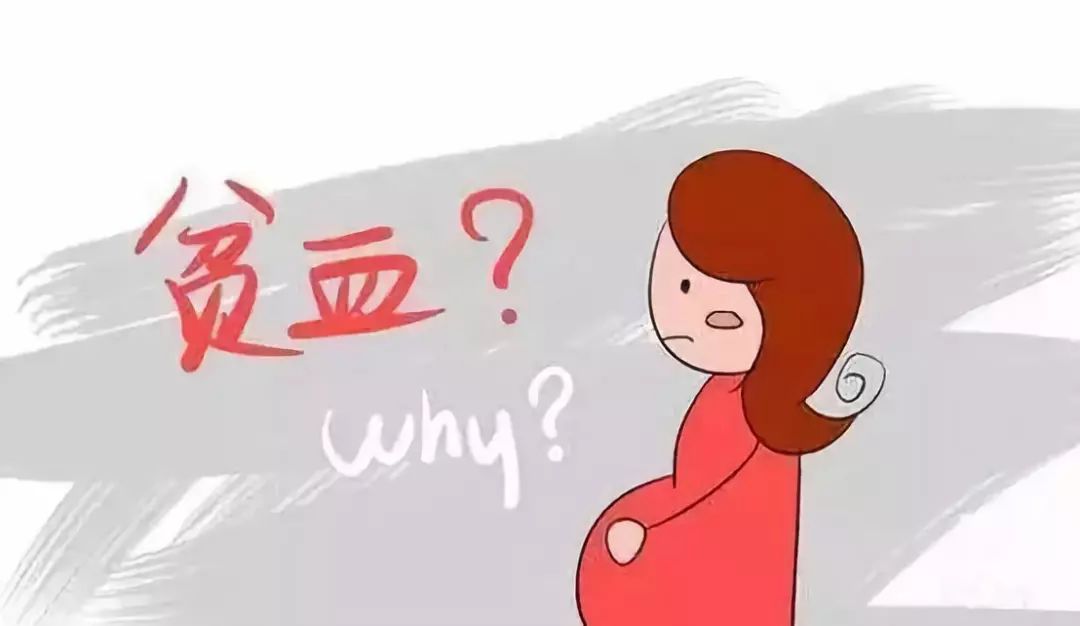 怀孕期间贫血怎么补？孕妇贫血可以吃的食物
