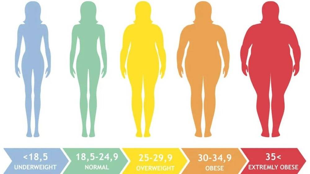 成年女性和成年男性BMI 成年女性标准体重表