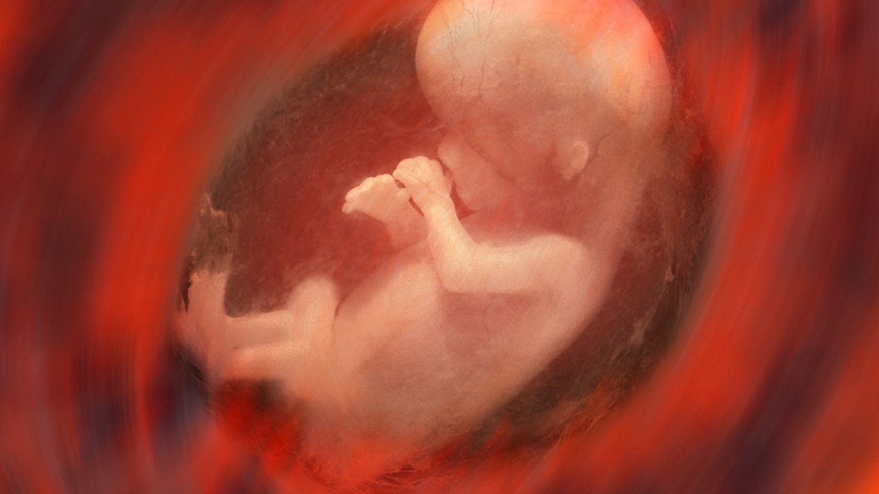 孕妇吃哪些食物有保护胎儿的作用？这6种食物对胎儿有利