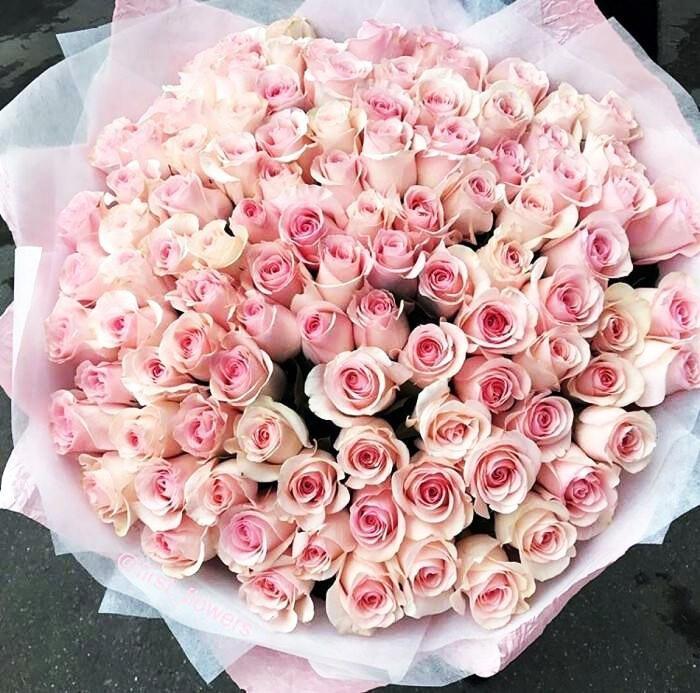 送女生粉玫瑰代表什么意思？花语是什么