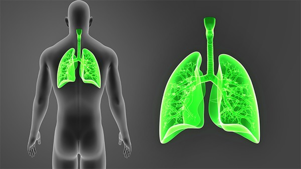 慢阻肺患者在生活中如何进行护理？为慢阻肺患者提供的护理措施