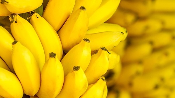 米蕉和什么不能一起吃？小米蕉每天吃几个好