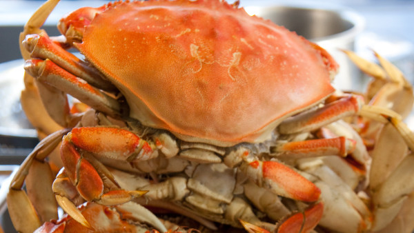 哪些人不能吃螃蟹？螃蟹的哪里不能吃