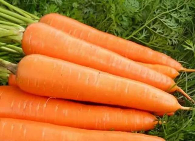 胡萝卜素的作用是什么 血糖高能吃胡萝卜吗