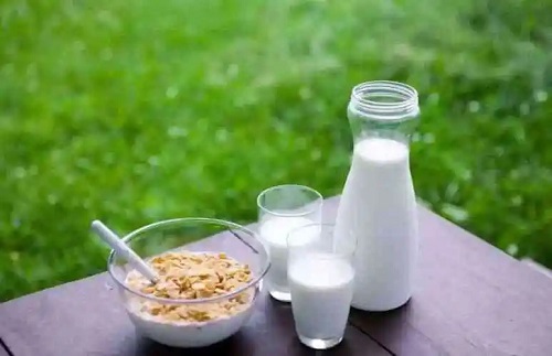 睡前喝牛奶减肥吗 运动结束能不能喝牛奶