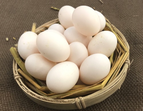 鸽子蛋有营养吗 怎么吃鸽子蛋可以促进壮阳