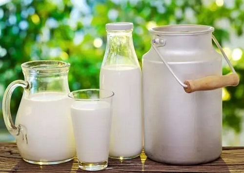 鲜牛奶什么时候喝 鲜牛奶和奶粉有什么区别