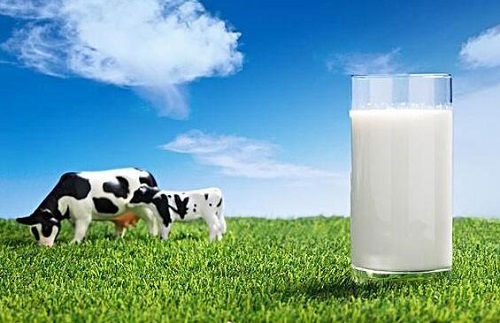 喝哪种牛奶容易长高 喝牛奶的四个最佳时间是什么