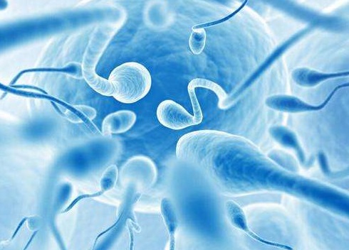 男人的精子会不会用完 男人一生可以有多少精子